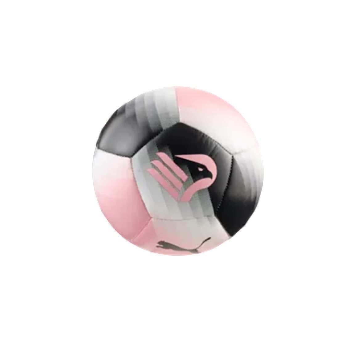 PALERMO MINIPALLONE 2026-27